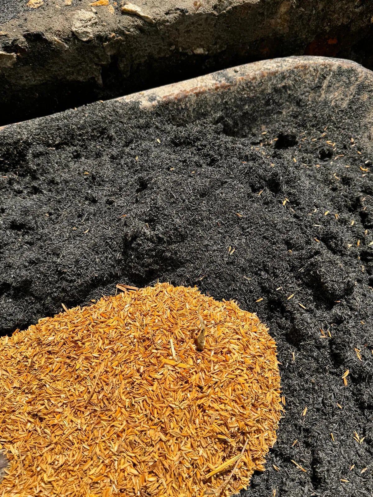 Rice husk feedstock heaped on a bed of finished biochar
