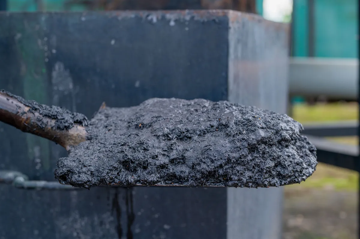 A sample of biochar drawn from the gasifier