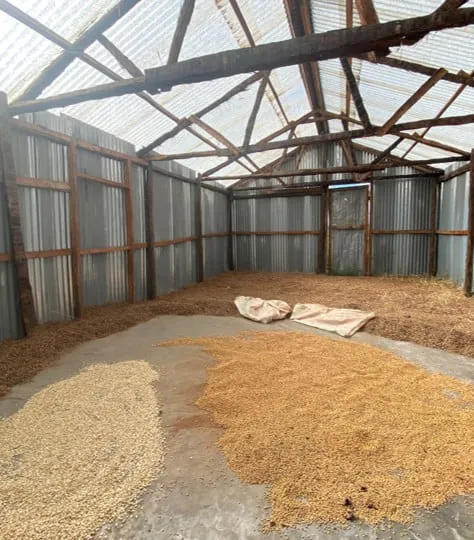 Agricultural residue feedstock stored under cover at the plant