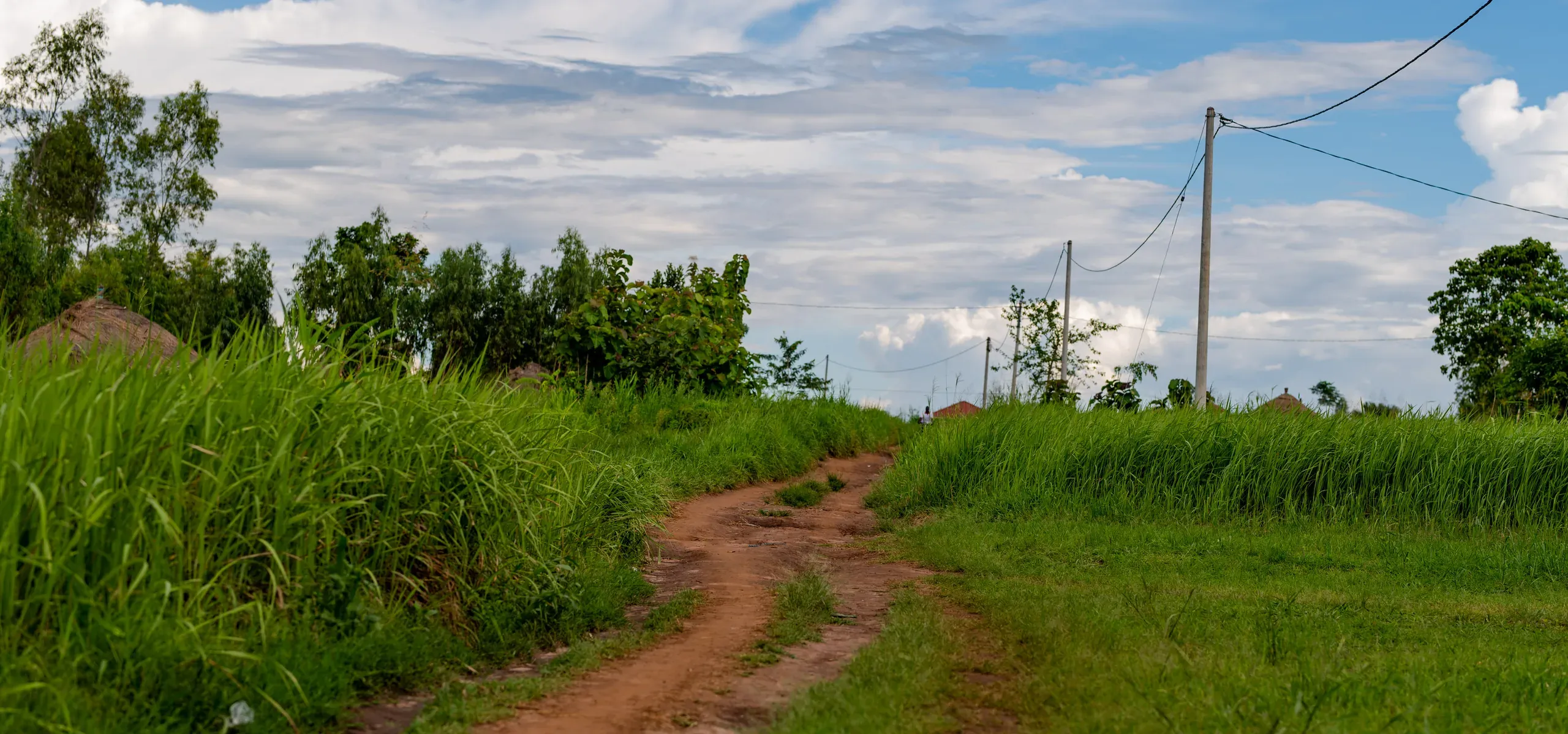 A dirt track running between cultivated fields under an open sky